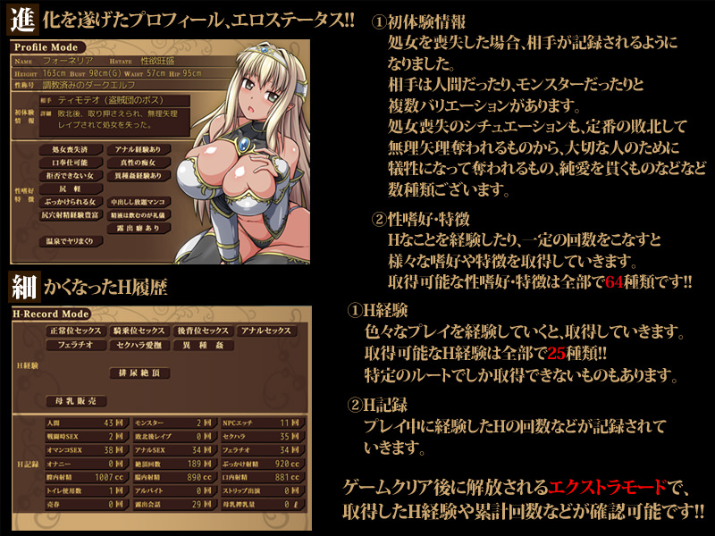 エロステータス画面とH履歴